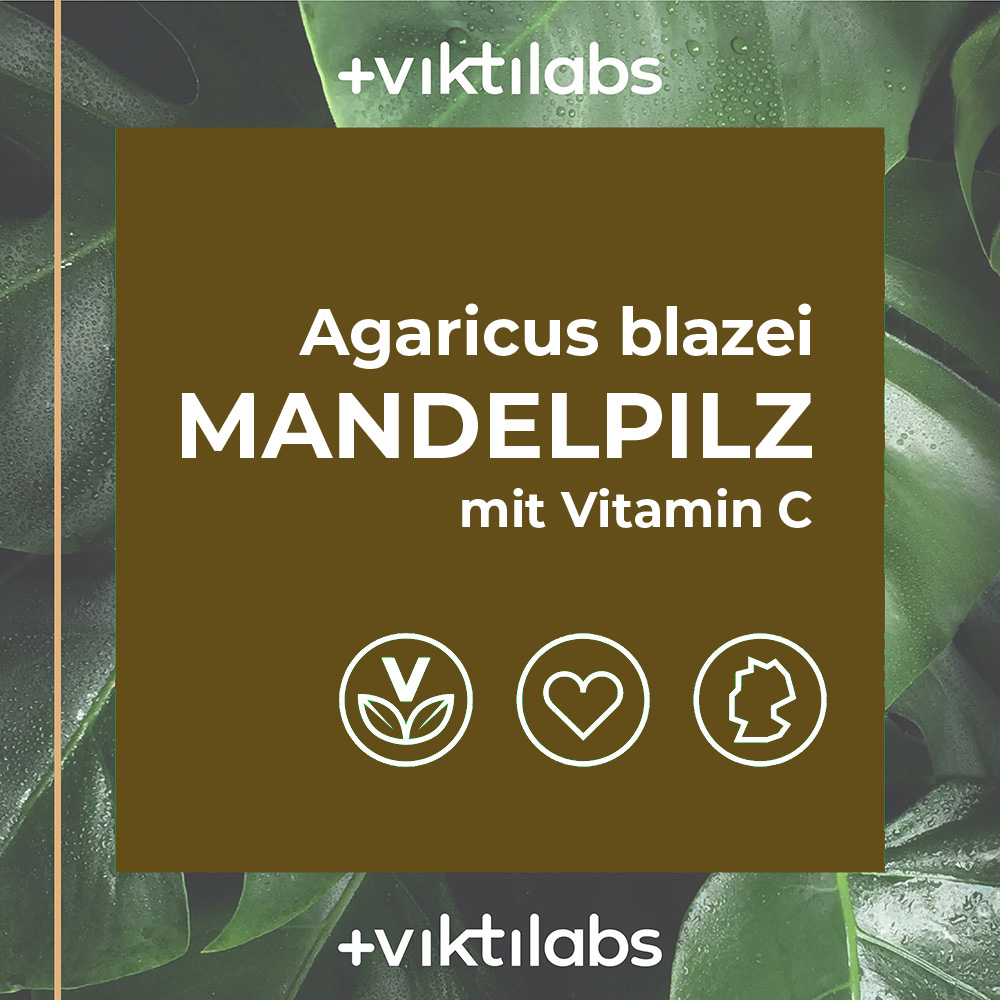 Mandelpilz Mockup2Artboard