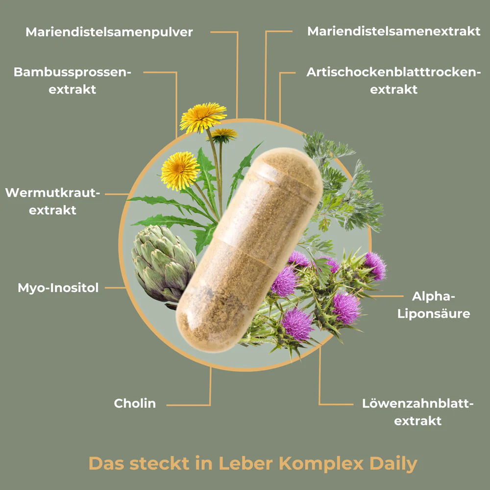Leber_Komplex_Daily_Info_3_1000x