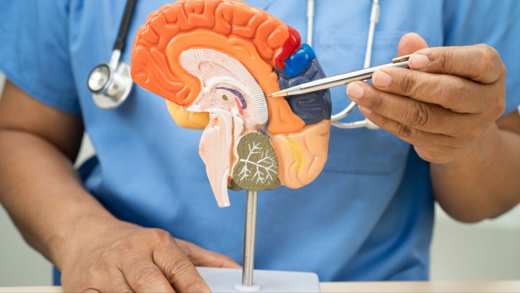 Kreatin bei metabolischem Syndrom