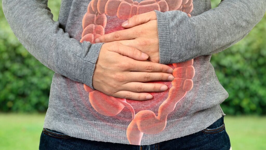 Löwenmähne für die Blasengesundheit
