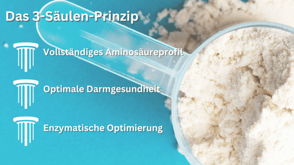 Muskelmythos und Blähbauch - Pflanzenprotein PurePlant Protein