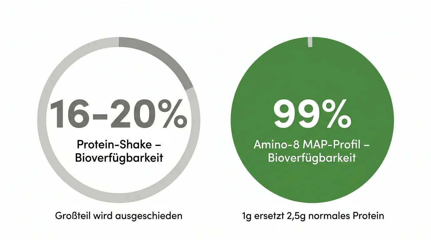 Amino-8 Grund 2