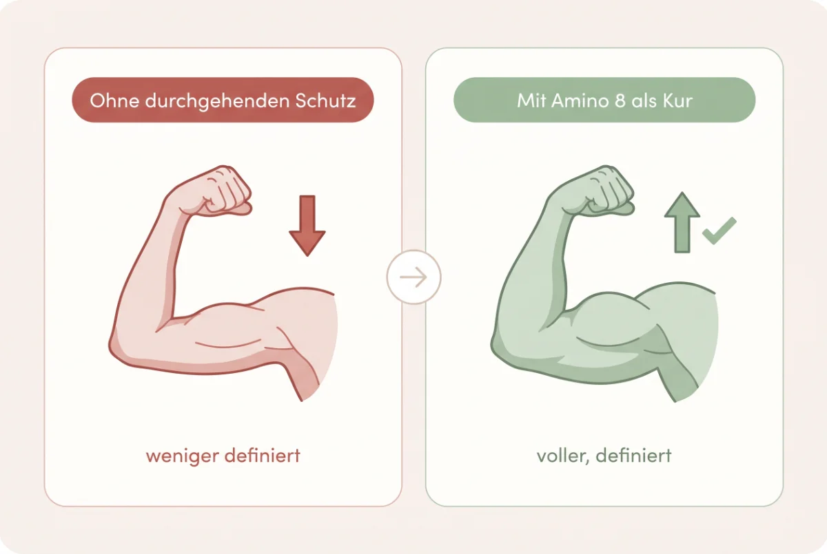 Muskel-Vergleich: ohne durchgehenden Schutz gegenüber mit Amino 8 als Kur