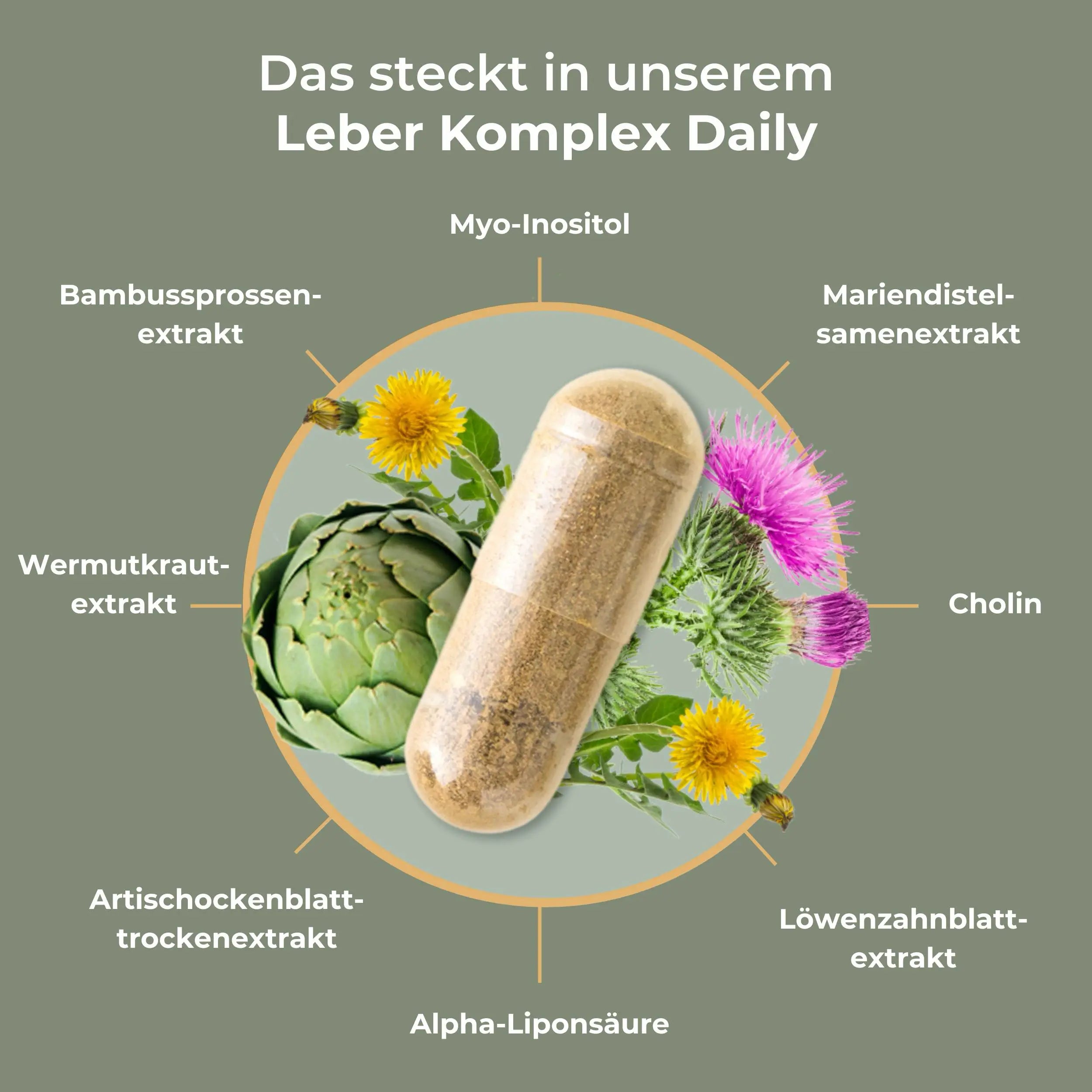 Die acht Inhaltsstoffe von Leber Komplex Daily